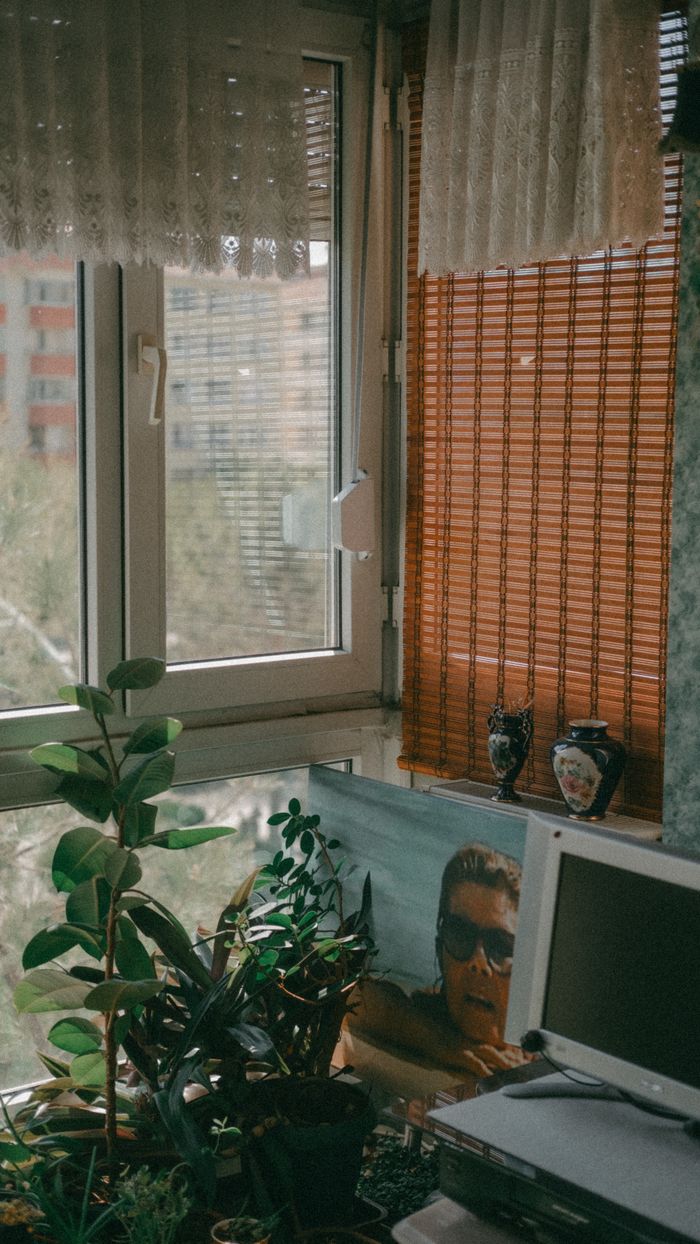 A cozy corner with plants, vases, and sunlit windows in a room in Eskişehir, Türkiye.