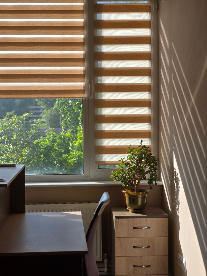 A peaceful office corner with natural light, featuring a plant and venetian blinds.